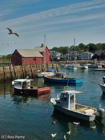 Missing Image: i_0057.jpg - Rockport's  motif #1