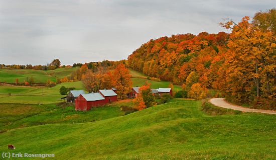 Missing Image: i_0007.jpg - Jenne Farm from the meadow