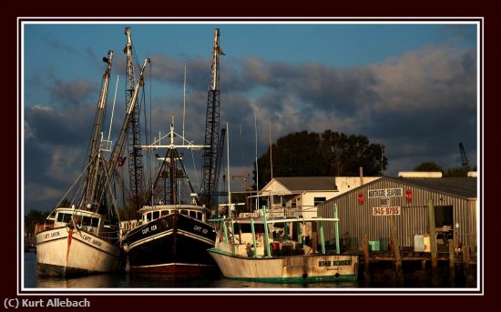 Missing Image: i_0027.jpg - Shrimpers