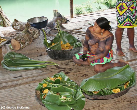 Missing Image: i_0003.jpg - Rain Forest Lunch