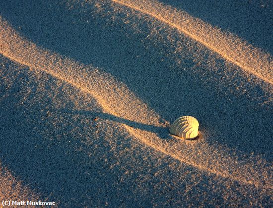 Missing Image: i_0025.jpg - Mini Sand Dunes