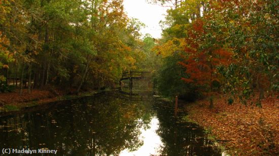 Missing Image: i_0029.jpg - LITTLE BRIDGE