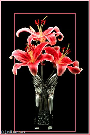 Missing Image: i_0016.jpg - Lilies in Black