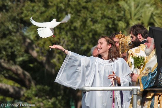 Missing Image: i_0024.jpg - Dove of Peace