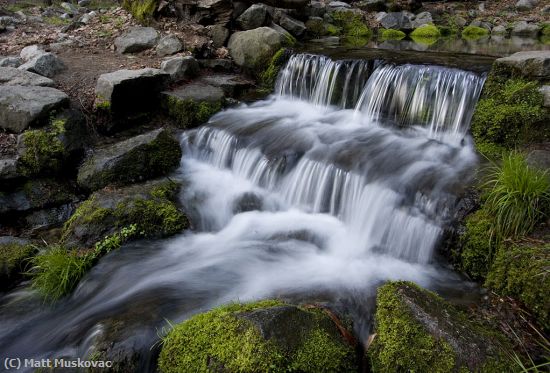 Missing Image: i_0005.jpg - Fern Falls