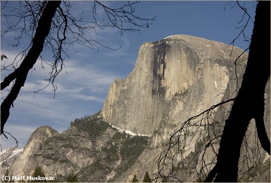 Missing Image: i_0039.jpg - Half Dome and Dead Tree