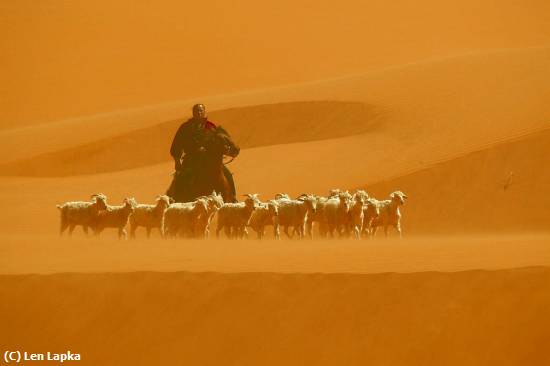 Missing Image: i_0037.jpg - Goat Herder in Sandstorm