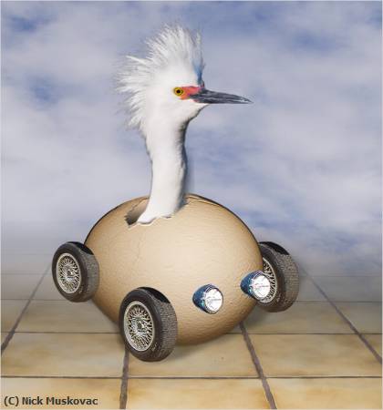 Missing Image: i_0067.jpg - Eggmobile