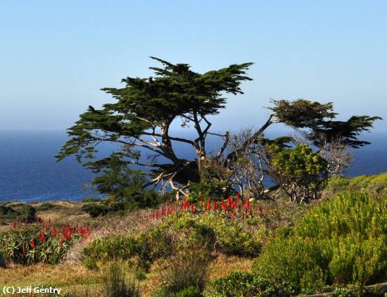 Missing Image: i_0003.jpg - Cape of Good Hope