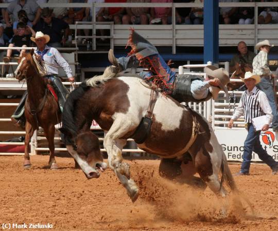 Missing Image: i_0013.jpg - Arcadia Rodeo 1