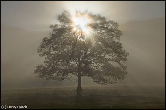 Missing Image: i_0062.jpg - Sunrise In Cades Cove