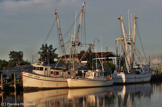 Missing Image: i_0037.jpg - Shrimp Boats