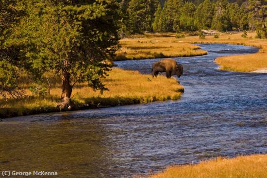 Missing Image: i_0014.jpg - River Crossing