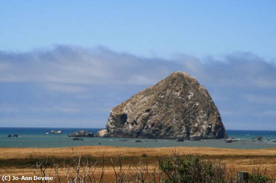 Missing Image: i_0027.jpg - California Haystack