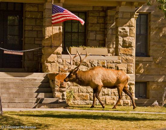 Missing Image: i_0031.jpg - Elks Club