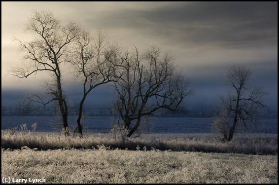 Missing Image: i_0037.jpg - Frost and Fog at Sunrise