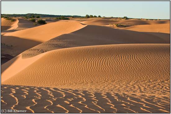 Missing Image: i_0066.jpg - Arizona Sand Dunes