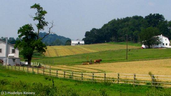 Missing Image: i_0073.jpg - AMISH FARMLAND