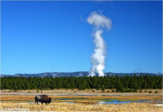 Missing Image: i_0075.jpg - Bison&Geyser