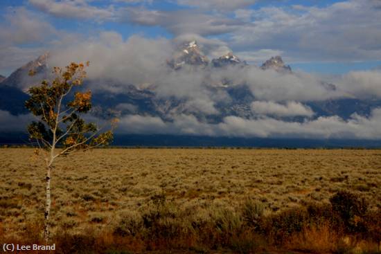 Missing Image: i_0076.jpg - Tetons