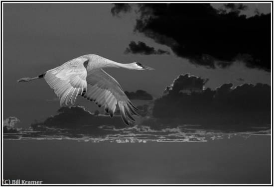 Missing Image: i_0006.jpg - Night Flight