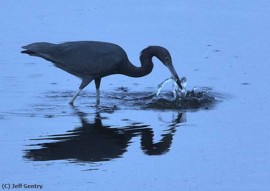 Missing Image: i_0022.jpg - Fishing