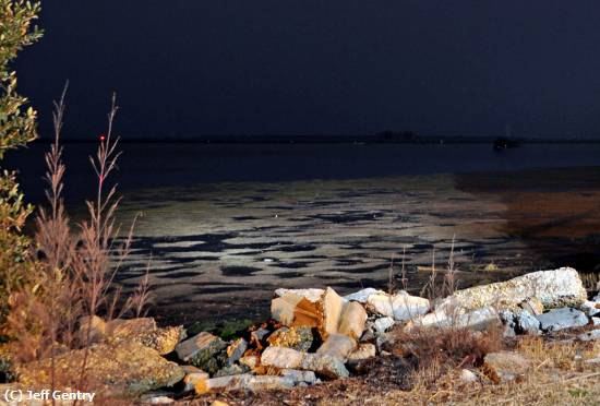 Missing Image: i_0026.jpg - Dunedin Sound at Night