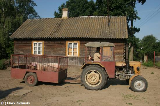 Missing Image: i_0026.jpg - Old Style Farming