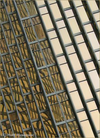 Missing Image: i_0041.jpg - Skyscraper Closeup