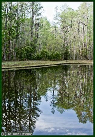 Missing Image: i_0072.jpg - Lake Reflections