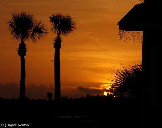 Missing Image: i_0085.jpg - Sunrise at Cocoa Beach