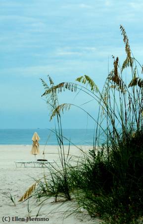 Missing Image: i_0008.jpg - Clearwater Beach