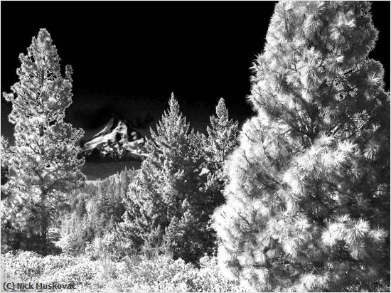 Missing Image: i_0032.jpg - Mount Hood Infrahred