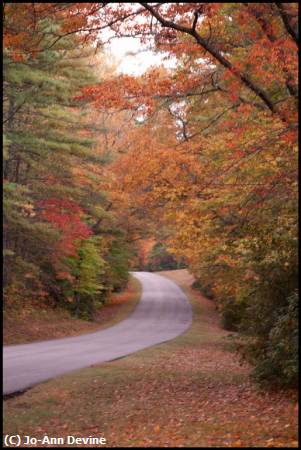 Missing Image: i_0019.jpg - Blue Ridge Parkway