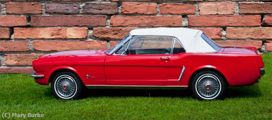 Missing Image: i_0030.jpg - MUSTANG CONVERTIBLE