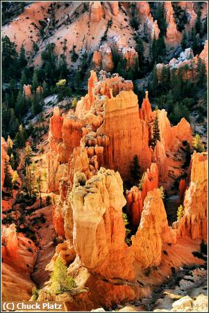 Missing Image: i_0027.jpg - Morning,  Bryce Canyon