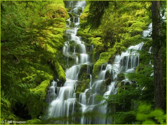 Missing Image: i_0023.jpg - Proxy Falls