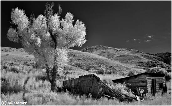 Missing Image: i_0085.jpg - Bannack, MT.