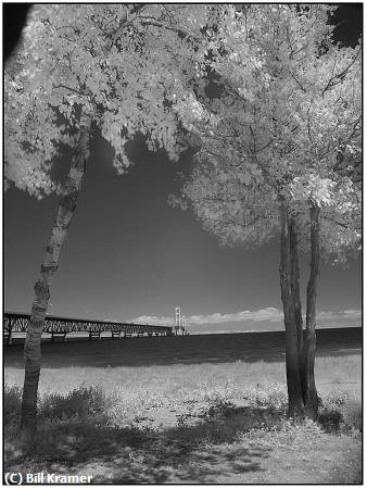 Missing Image: i_0061.jpg - Bridge to Nowhere