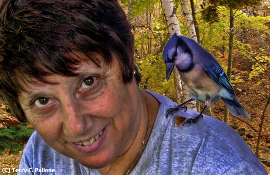 Missing Image: i_0069.jpg - Mr.Blue-Birds-on-my-shoulder