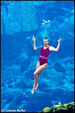 Missing Image: i_0003.jpg - WeekiWachee Mermaid