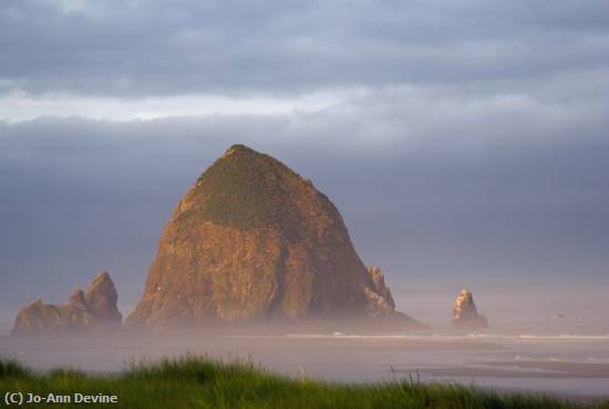 Missing Image: i_0004.jpg - Beach Haystack