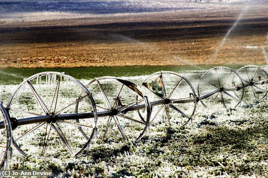 Missing Image: i_0031.jpg - Winter Irrigation