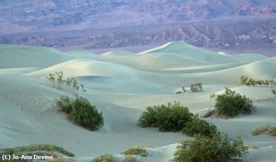 Missing Image: i_0073.jpg - Morning Dunes