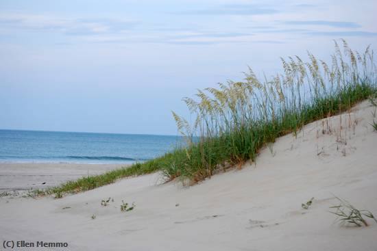 Missing Image: i_0021.jpg - Corolla Beach