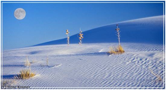 Missing Image: i_0034.jpg - Evening Shadows at White Sands