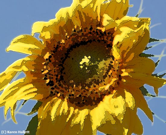 Missing Image: i_0019.jpg - Sunflower in Watercolor