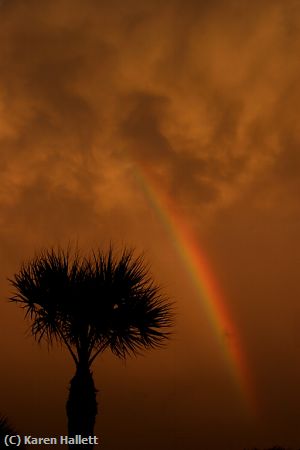 Missing Image: i_0039.jpg - Rainbow at Sunset