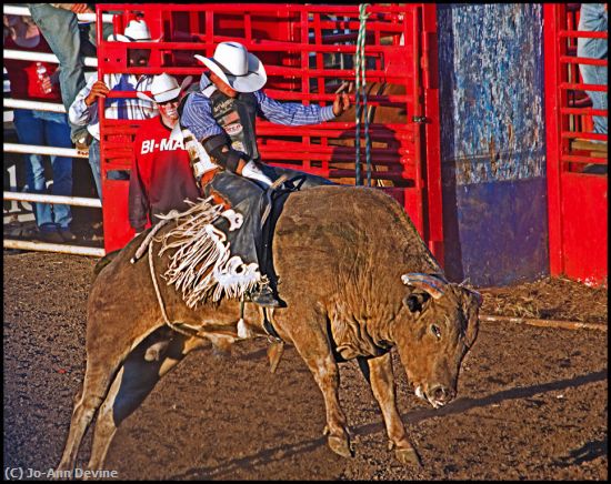 Missing Image: i_0047.jpg - Bull Rider