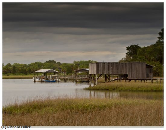 Missing Image: i_0039.jpg - WETLANDS, CEDAR KEY